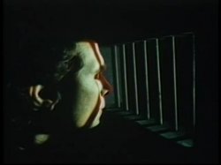 Captura de 'Gorgeous Blondes From The Golden Age Of Porn Vol. 2' nº 115