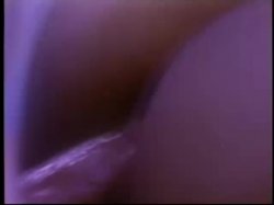 Captura de 'Gorgeous Blondes From The Golden Age Of Porn Vol. 2' nº 136