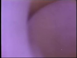 Captura de 'Gorgeous Blondes From The Golden Age Of Porn Vol. 2' nº 137