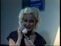 Captura de 'Gorgeous Blondes From The Golden Age Of Porn Vol. 2' nº 22