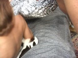 'Smells Like Pussy' screenshot nº 126
