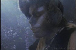'Midsummer Night's Cream, A' screenshot nº 87