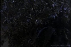 'Midsummer Night's Cream, A' screenshot nº 1