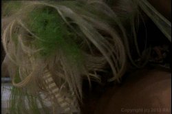 'Midsummer Night's Cream, A' screenshot nº 13