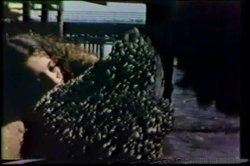 Captura de 'Candy Samples Triple Feature 2' nº 57
