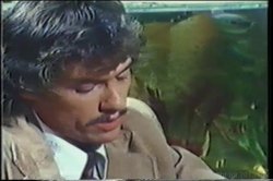 'Seka Triple Feature 2' screenshot nº 60