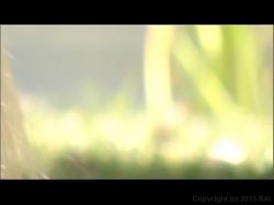 Captura de 'Art of Love' nº 57