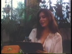 Captura de 'The Candida Royalle Collection - The Original Directors Cut' nº 60