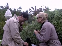 'Booby Trap' screenshot nº 74