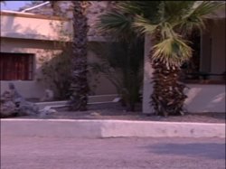 'Sweet Summer Sex Kittens' screenshot nº 127