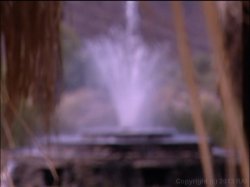 'Sweet Summer Sex Kittens' screenshot nº 132