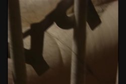 'Masque' screenshot nº 116