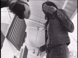 Captura de 'Jenna Haze Stripped' nº 5