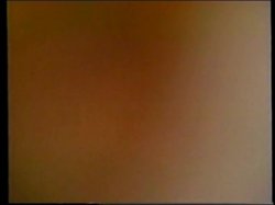 Captura de 'Superstars Of The 80's / Classic Porn Of The 80's #2' nº 62