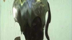 'Xtasy 3' screenshot nº 89