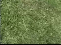 Captura de 'Tushy Girls Play Ball' nº 109