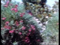 Captura de 'Fruchte Der Lust 1 - Villa Der Perversionen' nº 39