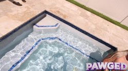 'PAWG Pleasures 5' screenshot nº 20