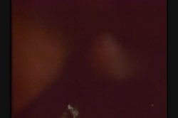 Captura de 'Busty Babes 2' nº 51