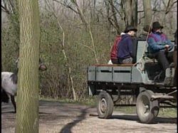 'Gypsy Queens' screenshot nº 4