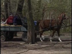 'Gypsy Queens' screenshot nº 6