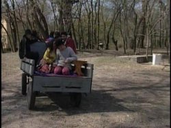 'Gypsy Queens' screenshot nº 8