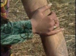 'Gypsy Queens' screenshot nº 91