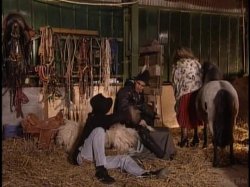 'Gypsy Queens' screenshot nº 12