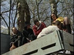 'Gypsy Queens' screenshot nº 24