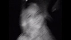 'Backstage Fuckers' screenshot nº 3