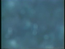 '90's All Naturals' screenshot nº 41