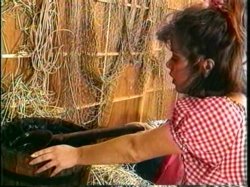 '90's All Naturals' screenshot nº 74
