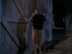 'Rearview Dyanna Lauren' screenshot nº 84