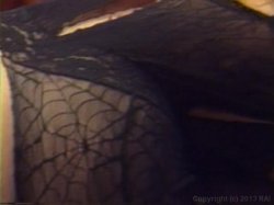 'Dreams in the Forbidden Zone' screenshot nº 108