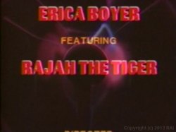 'Dreams in the Forbidden Zone' screenshot nº 3