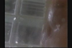 Captura de 'Anal Sexual Silence' nº 37
