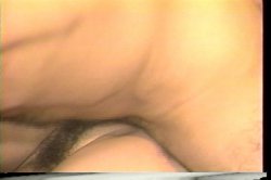Captura de 'Tit in a Wringer' nº 67
