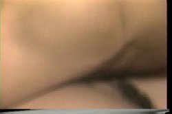 Captura de 'Tit in a Wringer' nº 72