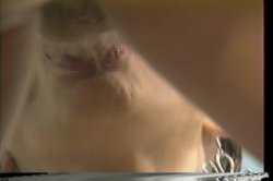 Captura de 'Tit in a Wringer' nº 95