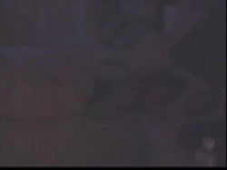 Captura de 'Tails of Perversity 8' nº 105