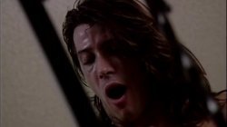 'Bud Lee's Sex Fest 3' screenshot nº 105