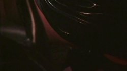 'Bud Lee's Sex Fest 3' screenshot nº 115