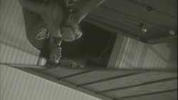 'Bud Lee's Sex Fest 3' screenshot nº 133