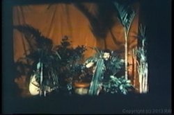 'Come Softly' screenshot nº 59