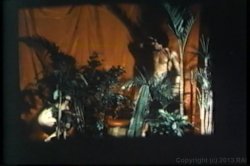 'Come Softly' screenshot nº 60