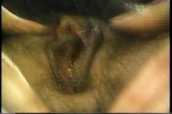 'Come Softly' screenshot nº 80