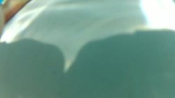 Captura de 'Pussy Unlimited' nº 108