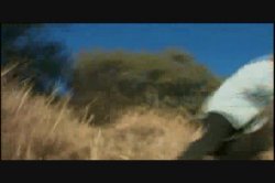 'It's Cumming' screenshot nº 66