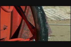 'It's Cumming' screenshot nº 2
