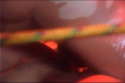 'Fantasy Ltd' screenshot nº 45